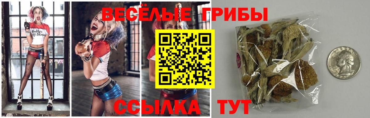 Псилоцибиновые грибы мицелий  Вход с VPN  как найти закладки  Южно-Сахалинск 